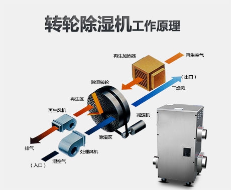 企业下载香蕉直播视频观看各品牌加湿器的特点和价格