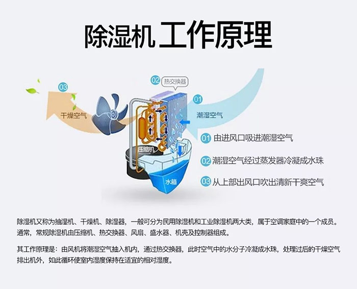 企业下载香蕉直播视频观看潮湿天气狗最容易患上这种毛病！三个注意事项，铲屎官一定要看看