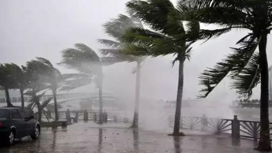 8月台风雨即将来，香蕉视频国产APP下载机还得用起来