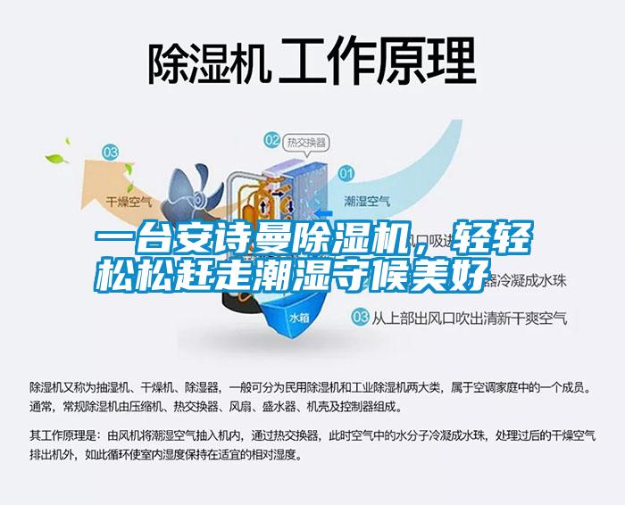 一台香蕉视频在线看香蕉视频国产APP下载机，轻轻松松赶走潮湿守候美好