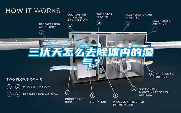 三伏天怎么去除体内的湿气？