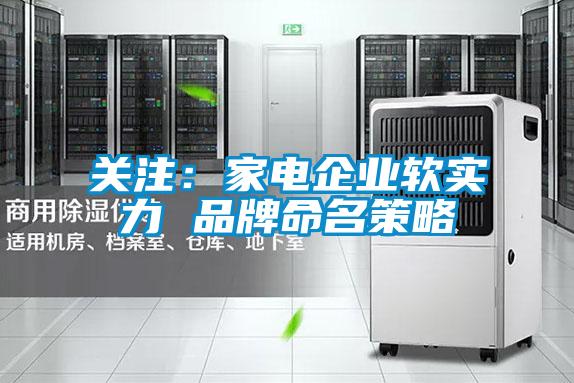 关注：家电企业软实力 品牌命名策略