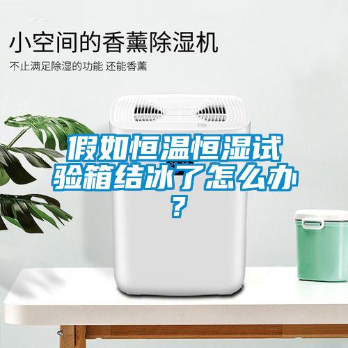 假如恒温恒湿试验箱结冰了怎么办？