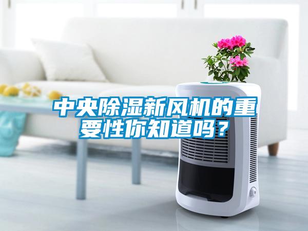 中央香蕉视频国产APP下载新风机的重要性你知道吗？