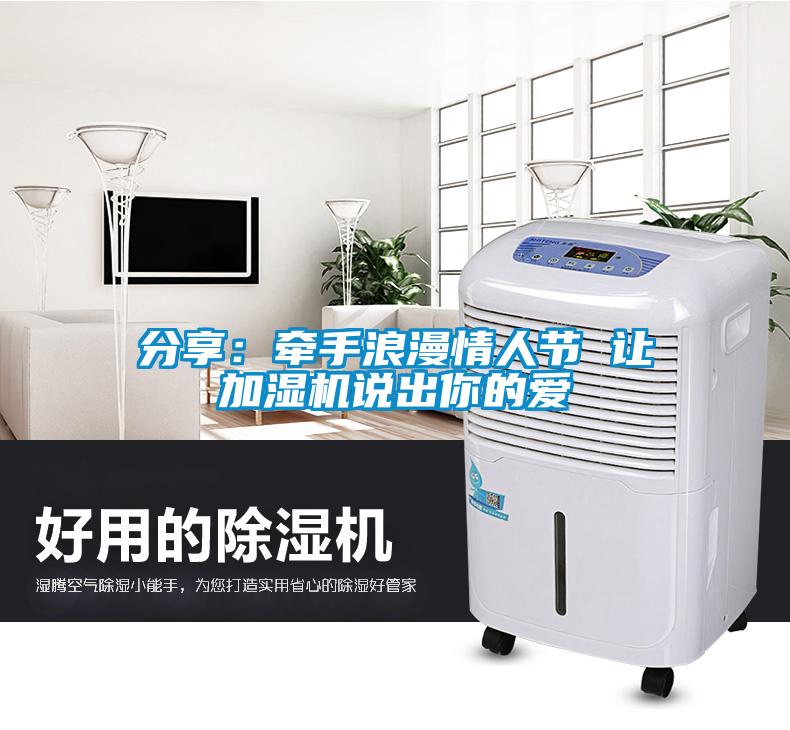 分享：牵手浪漫情人节 让加湿机说出你的爱
