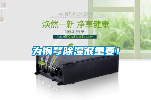 为钢琴香蕉视频国产APP下载很重要！