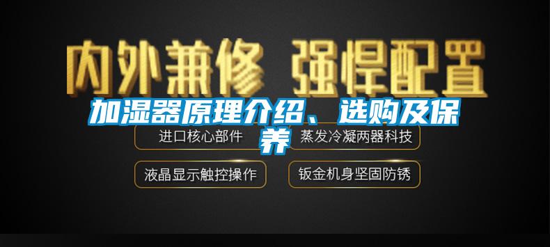 加湿器原理介绍、选购及保养