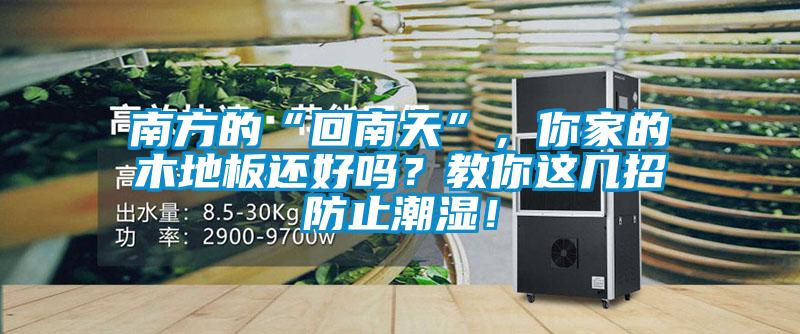 南方的“回南天”，你家的木地板还好吗？教你这几招防止潮湿！