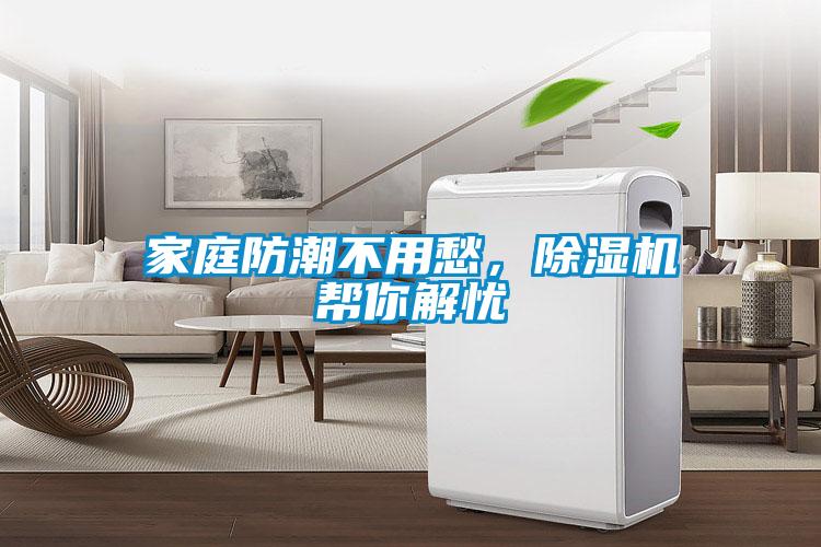 家庭防潮不用愁，香蕉视频国产APP下载机帮你解忧