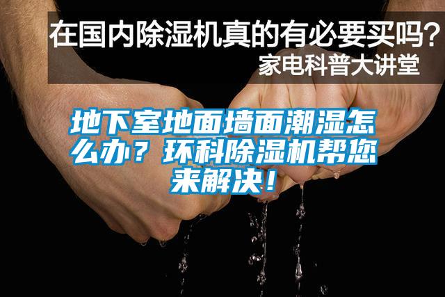 地下室地面墙面潮湿怎么办？环科香蕉视频国产APP下载机帮您来解决！