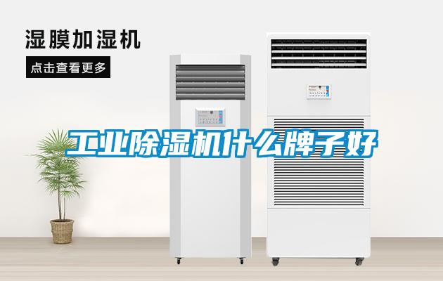 工业香蕉视频国产APP下载机什么牌子好