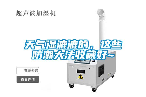 天气湿漉漉的，这些防潮大法收藏好~