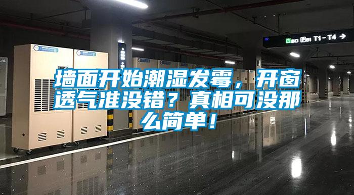 墙面开始潮湿发霉，开窗透气准没错？真相可没那么简单！