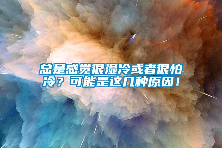 总是感觉很湿冷或者很怕冷？可能是这几种原因！