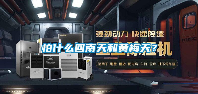 怕什么回南天和黄梅天？