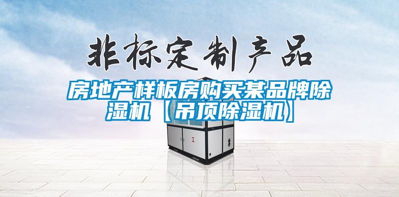 房地产样板房购买某品牌香蕉视频国产APP下载机【吊顶香蕉视频国产APP下载机】