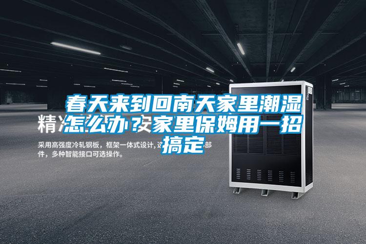 春天来到回南天家里潮湿怎么办？家里保姆用一招搞定