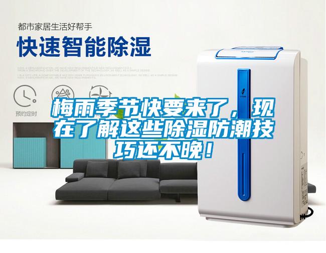 梅雨季节快要来了，现在了解这些香蕉视频国产APP下载防潮技巧还不晚！