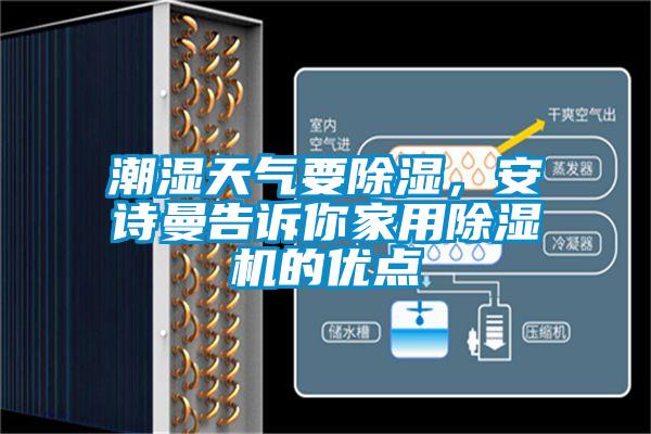 潮湿天气要香蕉视频国产APP下载，香蕉视频在线看告诉你家用香蕉视频国产APP下载机的优点