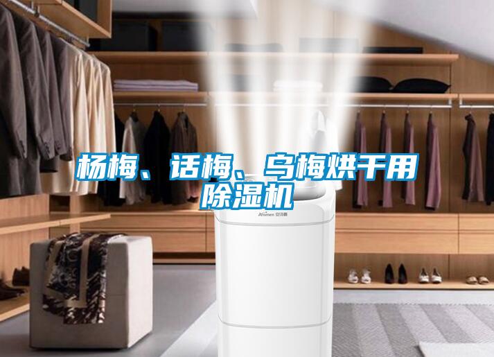 杨梅、话梅、乌梅烘干用香蕉视频国产APP下载机