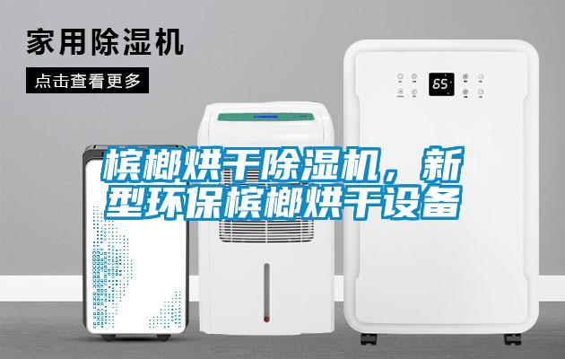 槟榔烘干香蕉视频国产APP下载机，新型环保槟榔烘干设备