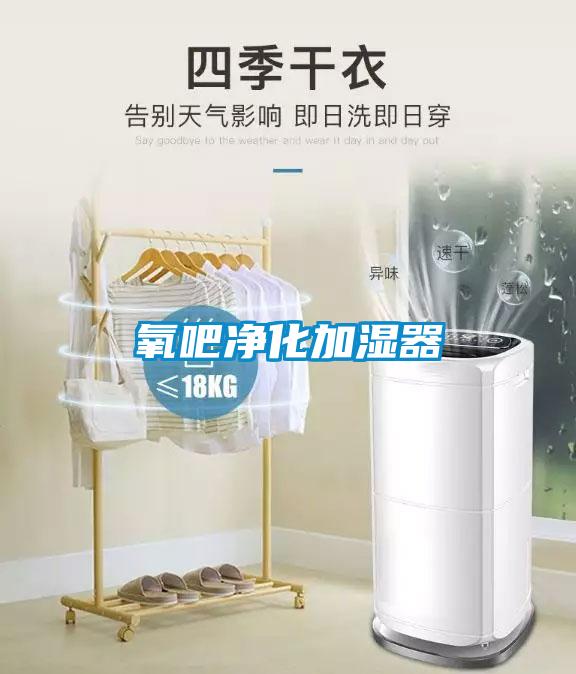 氧吧净化加湿器