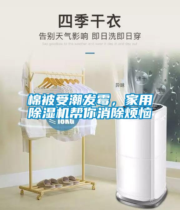 棉被受潮发霉，家用香蕉视频国产APP下载机帮你消除烦恼