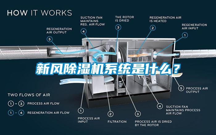 新风香蕉视频国产APP下载机系统是什么？