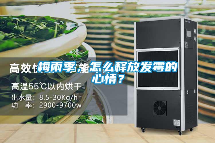 梅雨季，怎么释放发霉的心情？