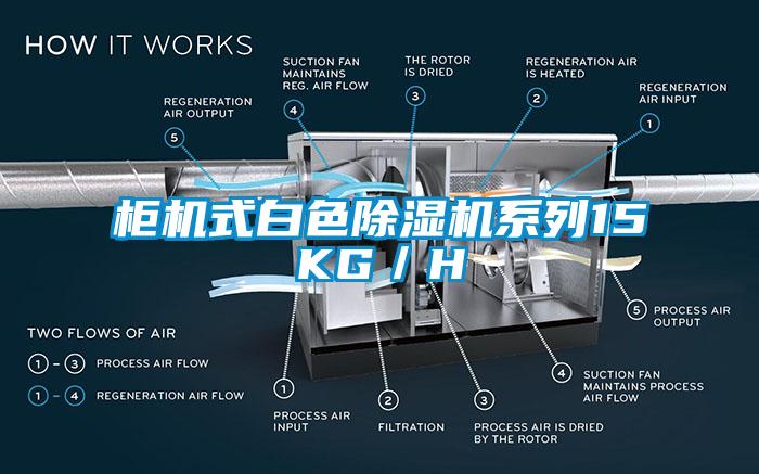 柜机式白色香蕉视频国产APP下载机系列15KG／H