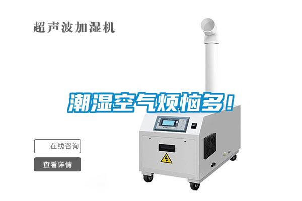 潮湿空气烦恼多！