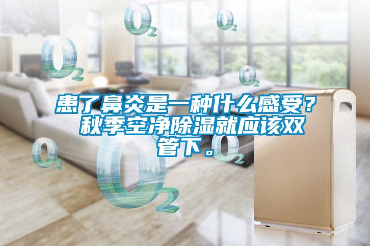 患了鼻炎是一种什么感受？ 秋季空净香蕉视频国产APP下载就应该双管下。
