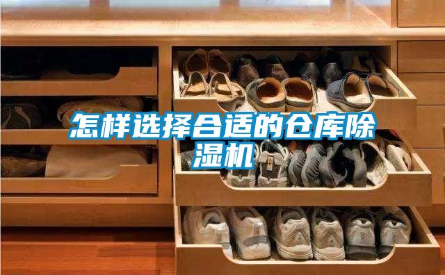 怎样选择合适的仓库香蕉视频国产APP下载机