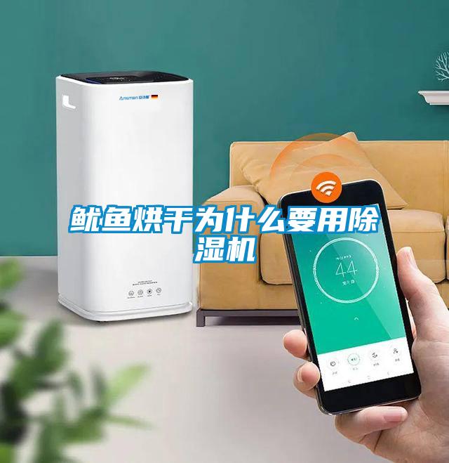鱿鱼烘干为什么要用香蕉视频国产APP下载机