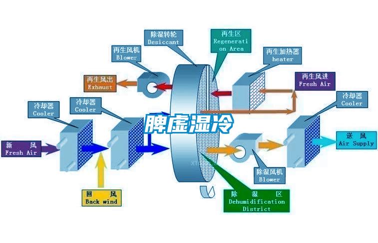 脾虚湿冷