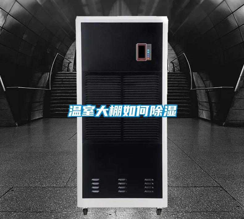 温室大棚如何香蕉视频国产APP下载