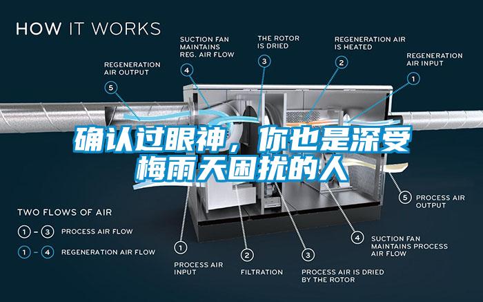 确认过眼神，你也是深受梅雨天困扰的人