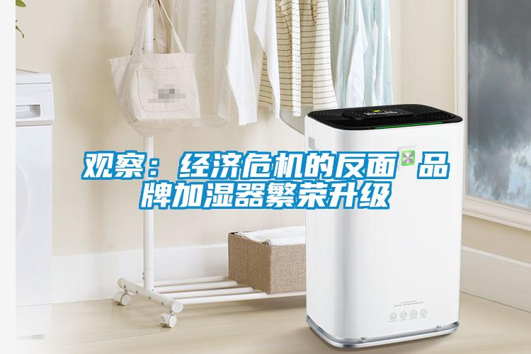 观察：经济危机的反面 品牌加湿器繁荣升级