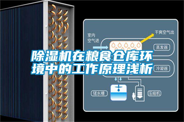 香蕉视频国产APP下载机在粮食仓库环境中的工作原理浅析