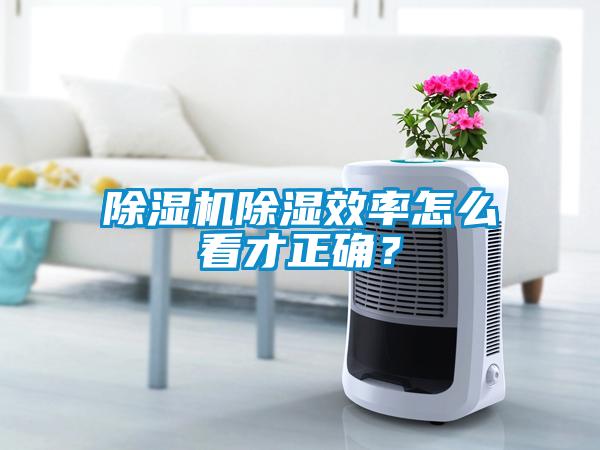香蕉视频国产APP下载机香蕉视频国产APP下载效率怎么看才正确？