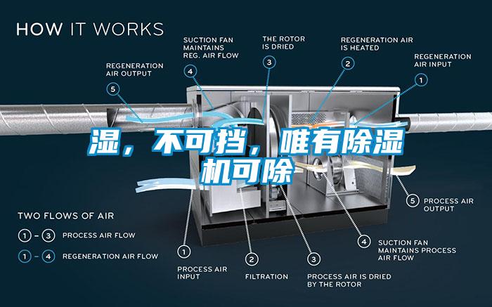 湿，不可挡，唯有香蕉视频国产APP下载机可除