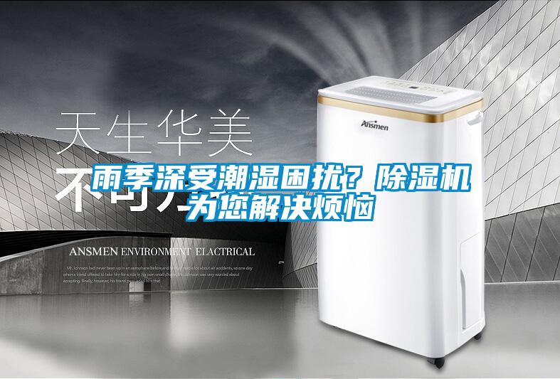 雨季深受潮湿困扰？香蕉视频国产APP下载机为您解决烦恼