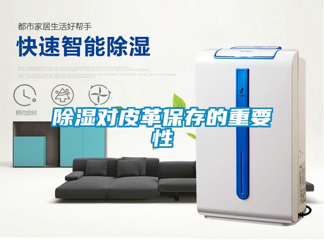 香蕉视频国产APP下载对皮革保存的重要性