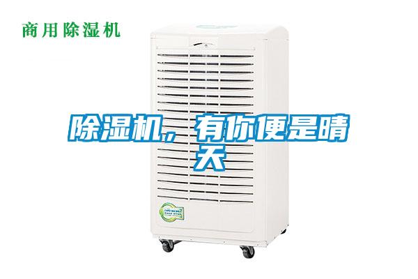 香蕉视频国产APP下载机，有你便是晴天
