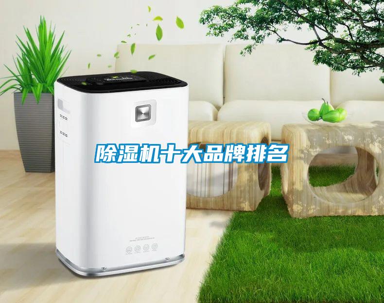 香蕉视频国产APP下载机十大品牌排名