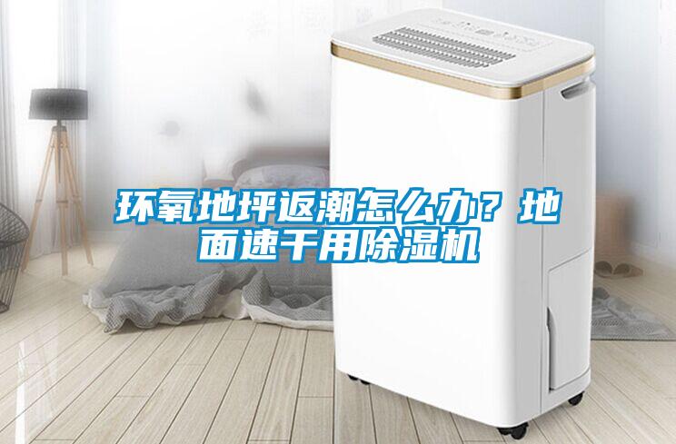 环氧地坪返潮怎么办？地面速干用香蕉视频国产APP下载机