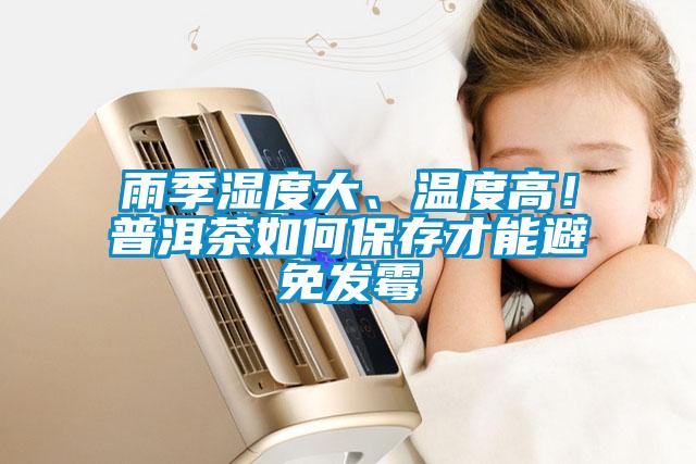 雨季湿度大、温度高！普洱茶如何保存才能避免发霉