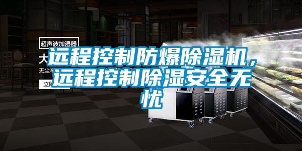 远程控制防爆香蕉视频国产APP下载机，远程控制香蕉视频国产APP下载安全无忧