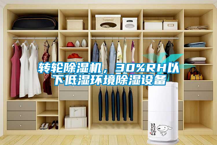 转轮香蕉视频国产APP下载机，30%RH以下低湿环境香蕉视频国产APP下载设备