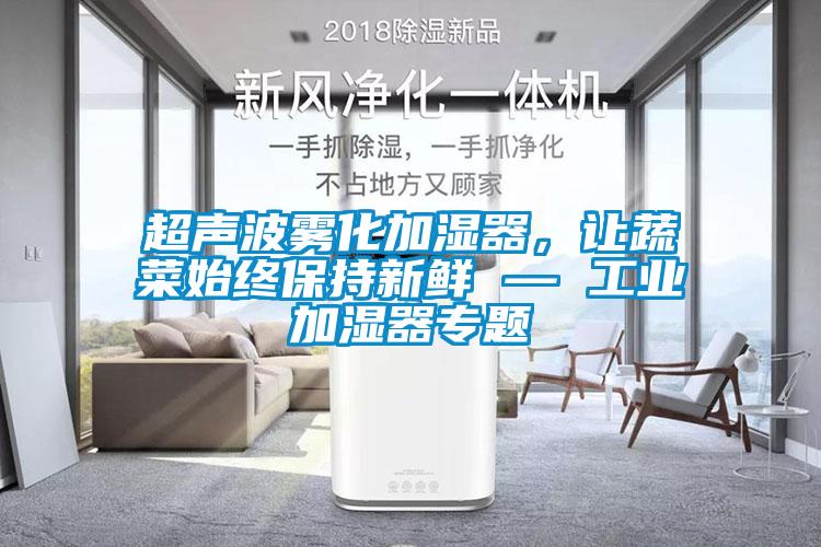 超声波雾化加湿器，让蔬菜始终保持新鲜 — 工业加湿器专题